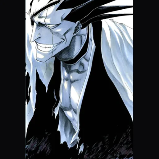 Top Bleach Gotei 13 Captains