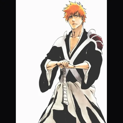 Top Bleach Characters